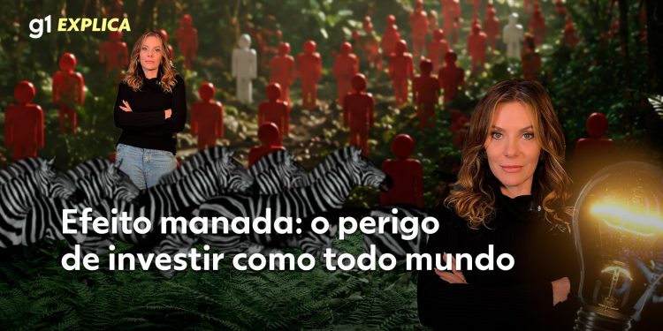 O risco invisível das 'modinhas de investimento': como lucro rápido pode virar prejuízo total?